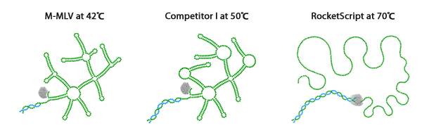 MMLV High Performance Reverse Transcriptase Kit