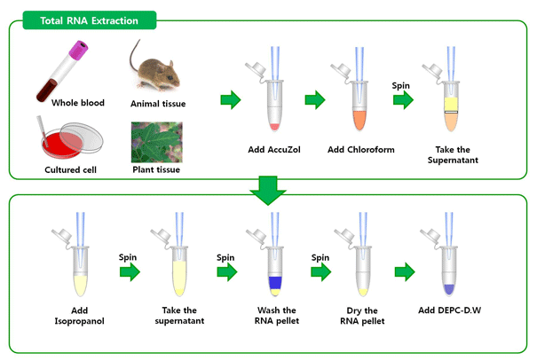 Bioneer Pacific Accuzol™ Total Rna Extraction Solution