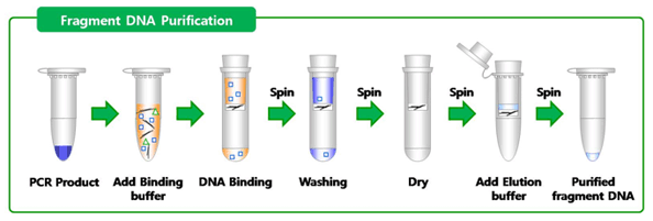 Выделение днк. Hydraulic dna400a. DNA Purification column. Диализ туба GEBAFLEX. Dialysis Buffer Exchange.